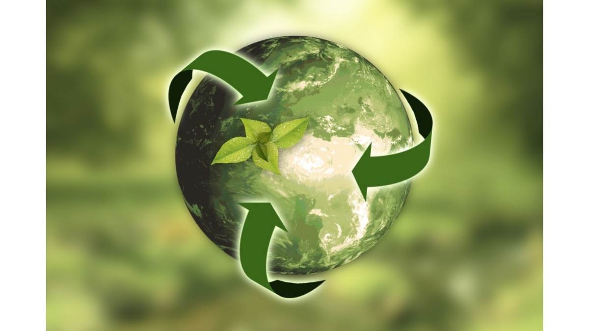 Mundo sostenible