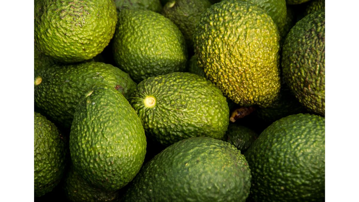 Aguacate