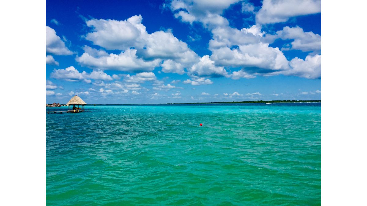 Laguna