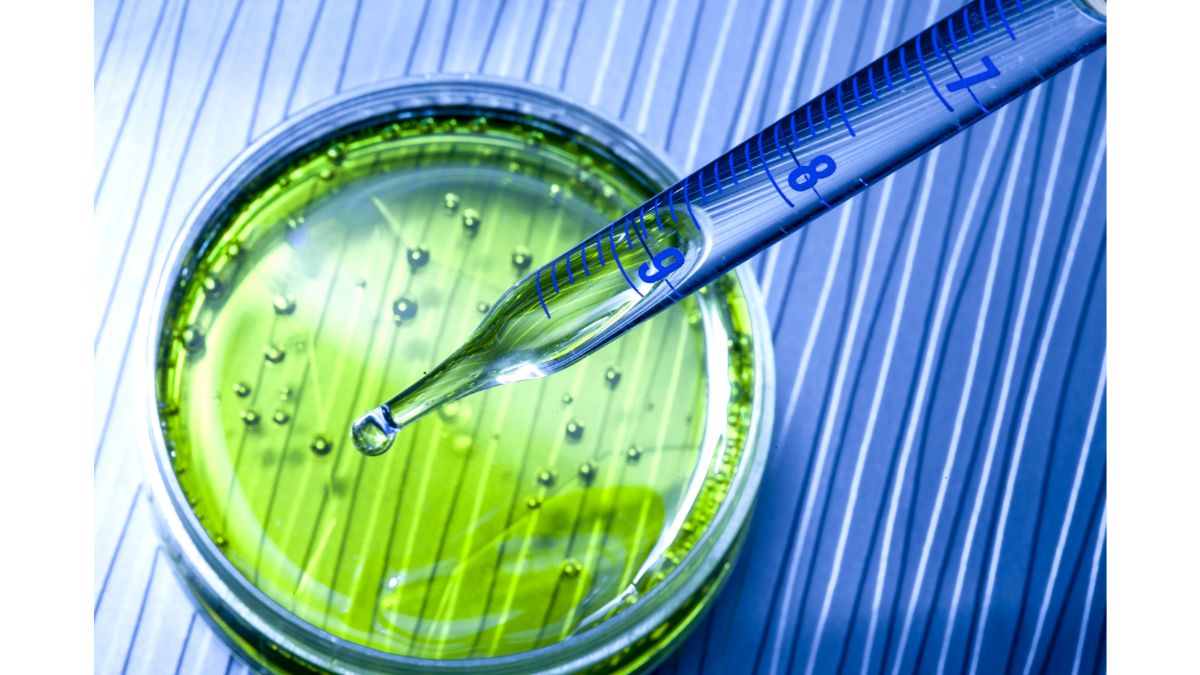 Laboratorio IA