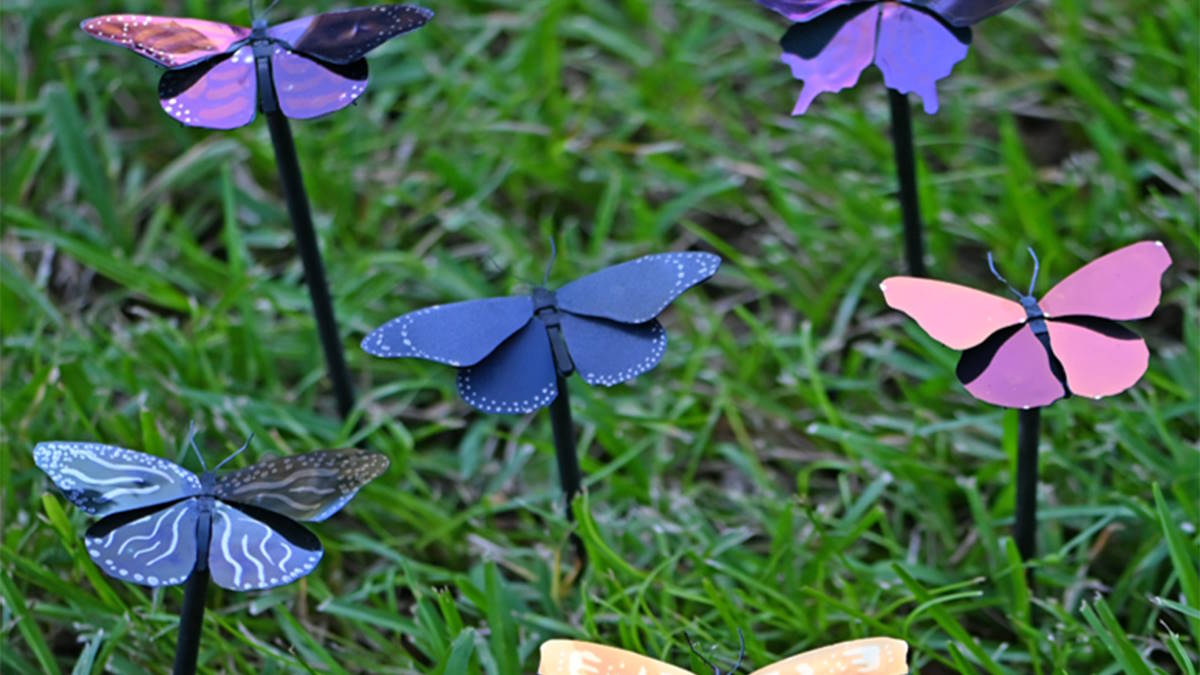 Mariposa