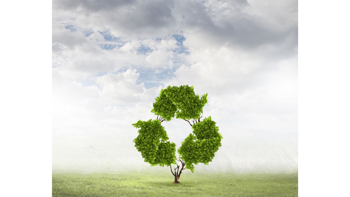 Reciclable
