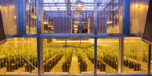 Research Triangle Park, Carolina del Norte