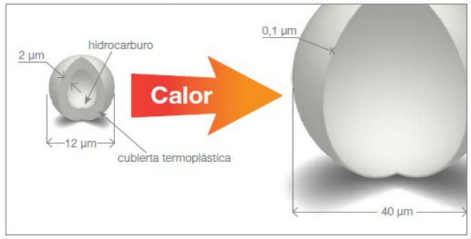 Figura 4